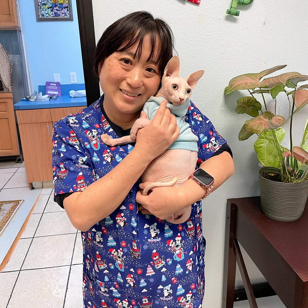 Dr. Miwa Kanbe smiles while holding a Sphynx cat in a blue sweater at a veterinary clinic.