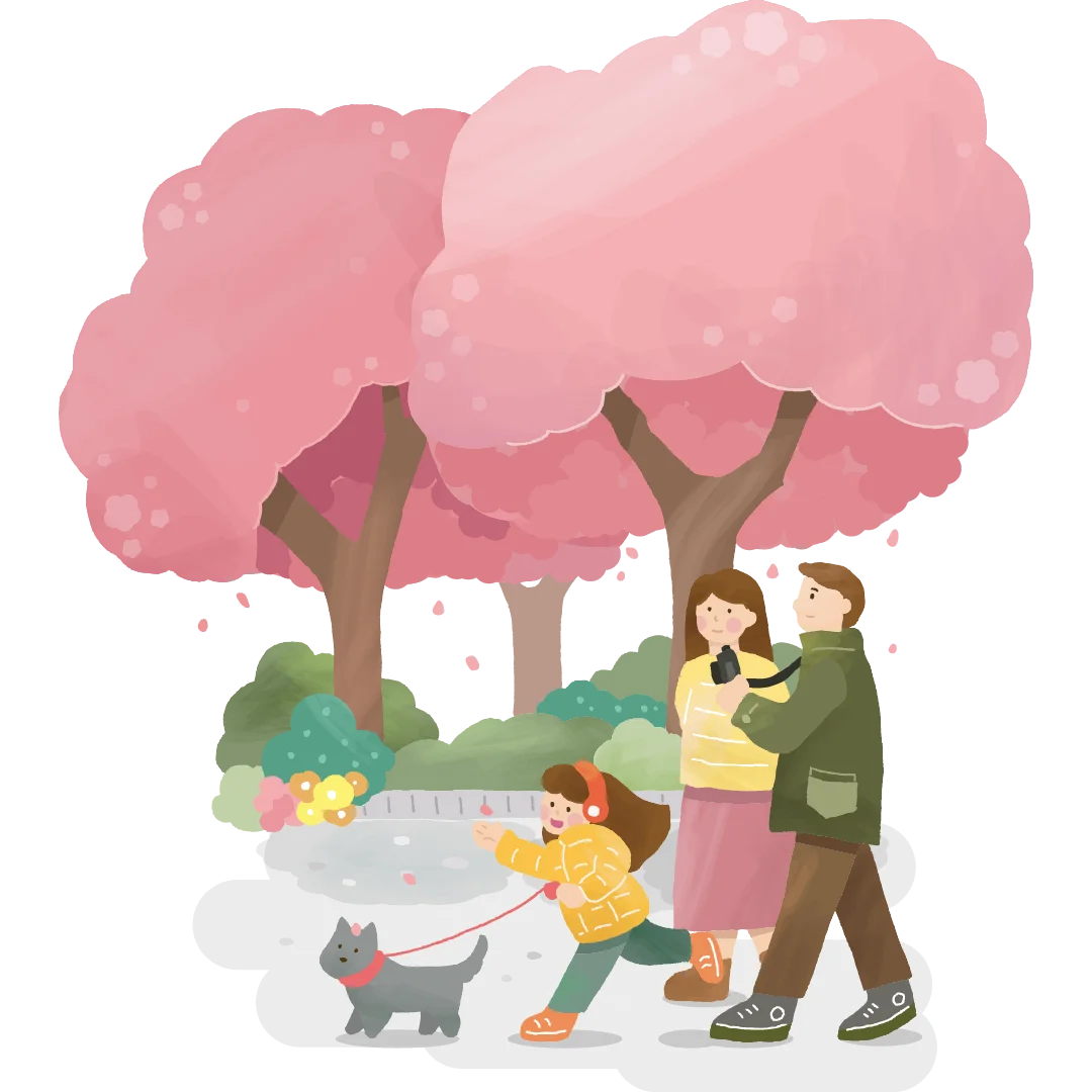 Illustration of a family walking their dog under blooming cherry blossom trees in a park setting.